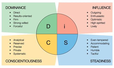 disc results explained